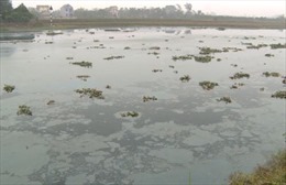 Sông Cửu An ở Hưng Yên đen kịt, nổi váng vì ô nhiễm nặng 